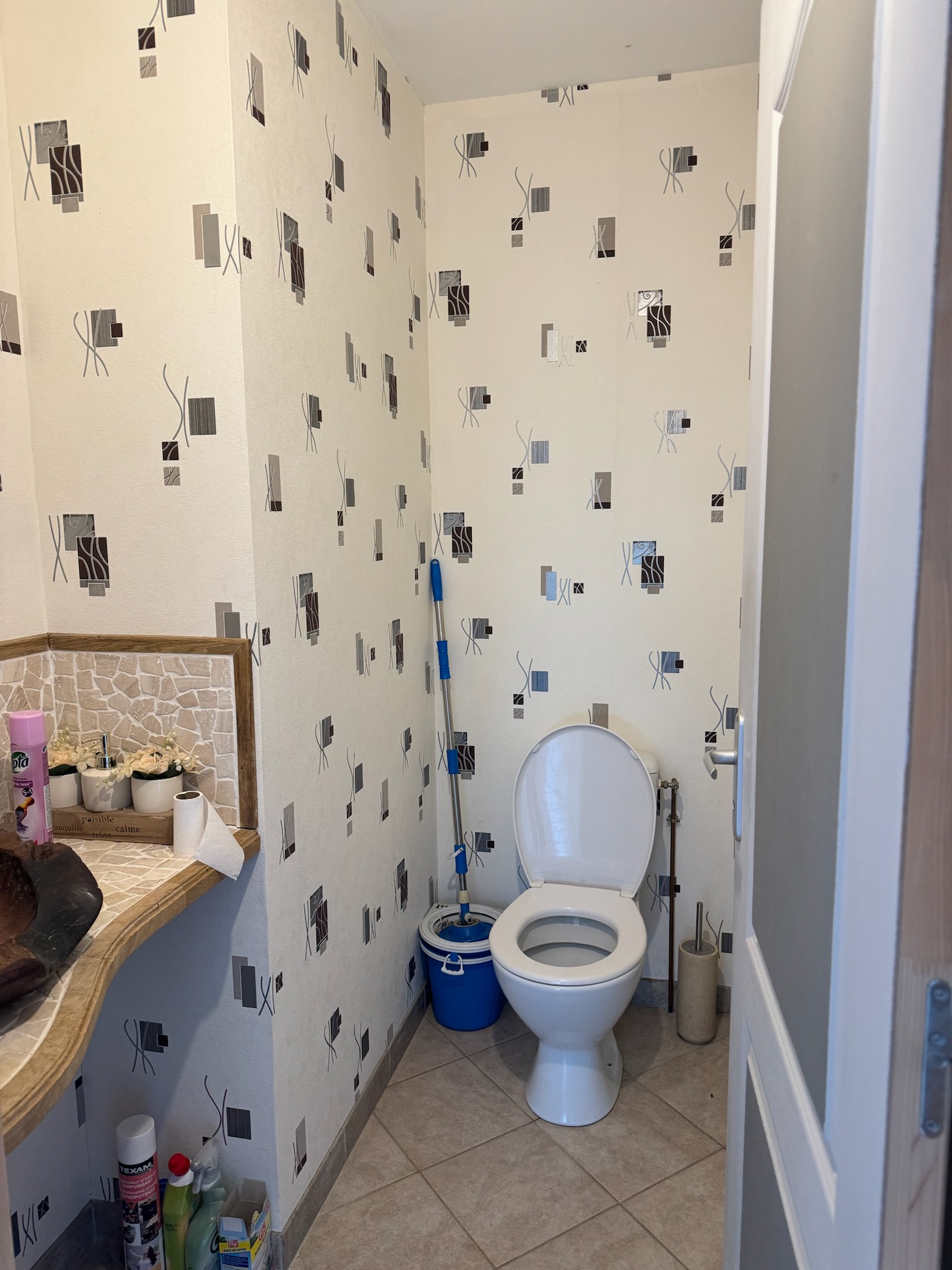 Toilettes avant rénovation